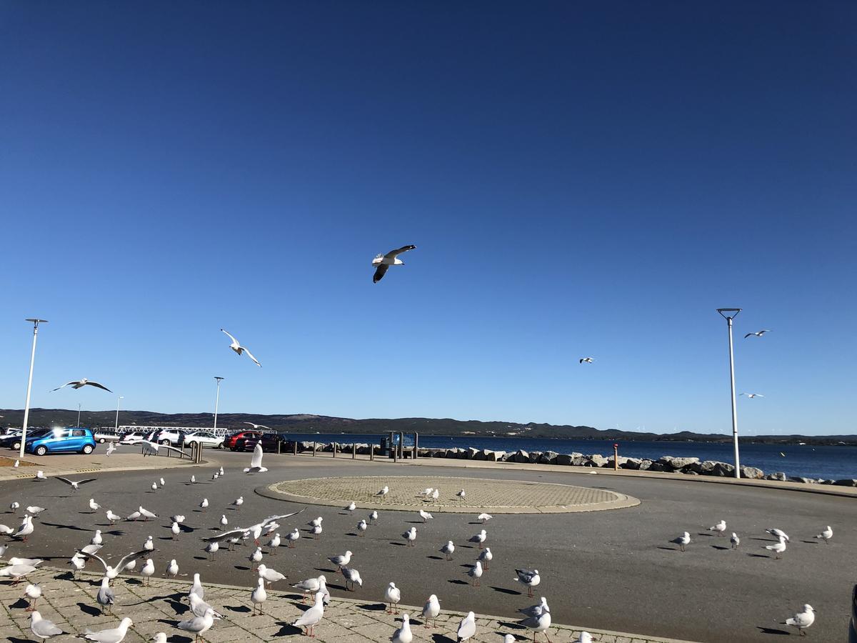 Albany Foreshore Guest House Bagian luar foto