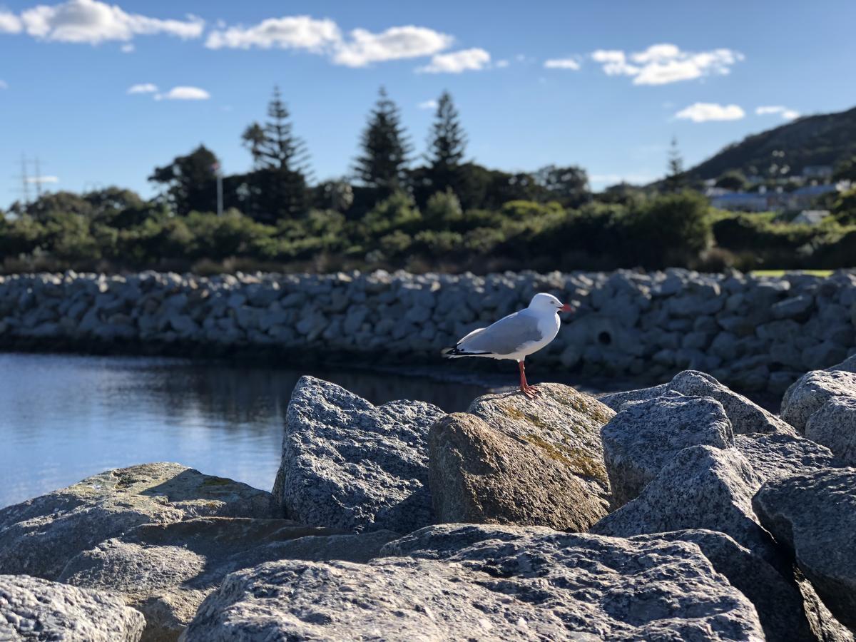 Albany Foreshore Guest House Bagian luar foto