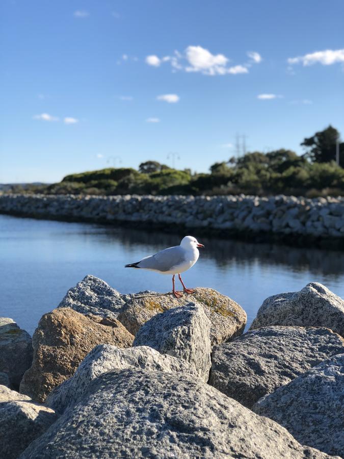 Albany Foreshore Guest House Bagian luar foto