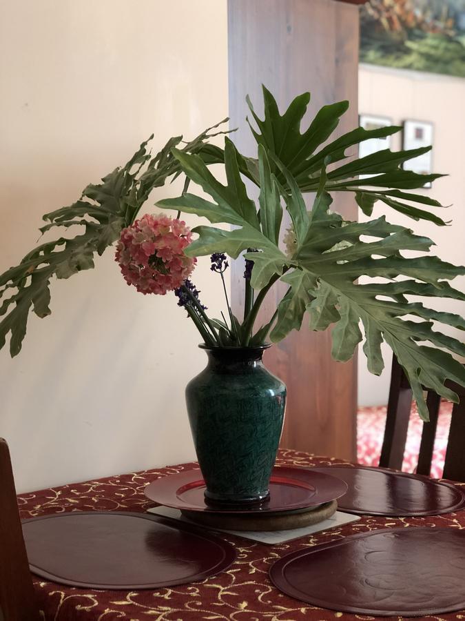 Albany Foreshore Guest House Bagian luar foto